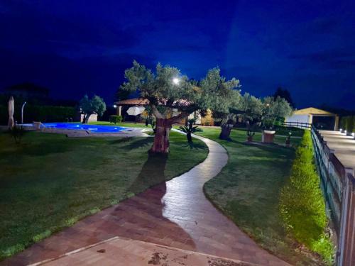 Treglio Casa | Giardino tra gli ulivi