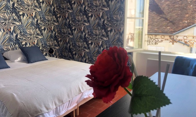 Palluau-sur-Indre Casa | Gite 9 persons near BEAUVAL Zoo, Châteaux de la Loire, Pellevoisin