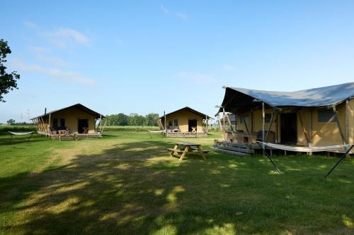 Hasselt Otro | Glamping Franse Peer
