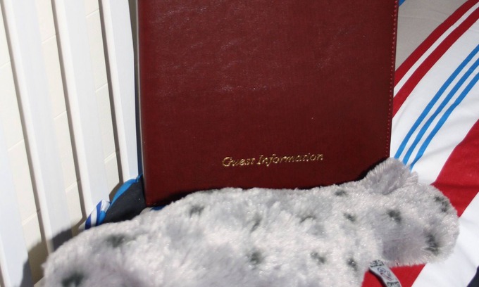 Strangford Cabina | Glamping con estilo en Seal Cabi