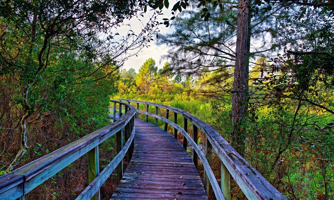 Carrabelle Villa | Golf Bungalow 1bed/1bath