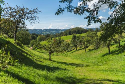 Rimbach Apartamento | Grünewaldhof in Rimbach im Odenwald