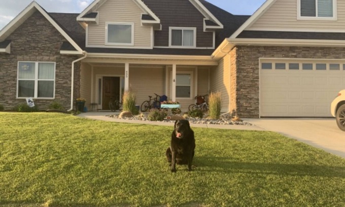 Sheridan Casa | Great house for families - basketball court and fire pit.