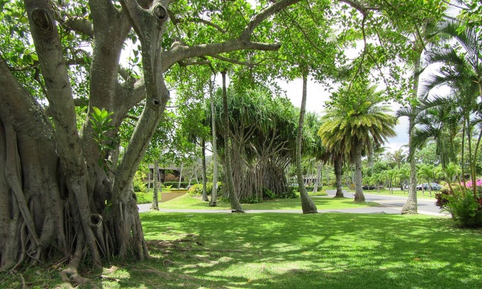 Kahuku Condominio | ¡Vea nuestras tarifas reducidas! Gran oferta para alojamiento de estilo resort