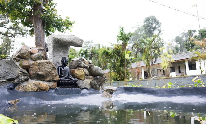 Virajpet Cama Y Desayuno | Green Earth Coorg