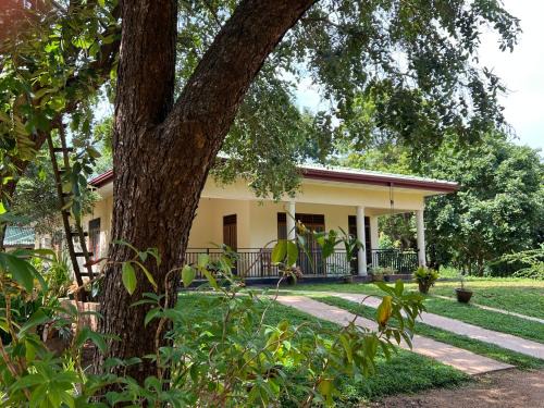 Anuradhapura Casa | Green Haven Holiday Home