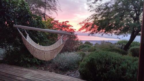 Ma'ale Gamla Cabina | green island