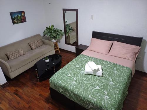 Brena Casa | Green Love