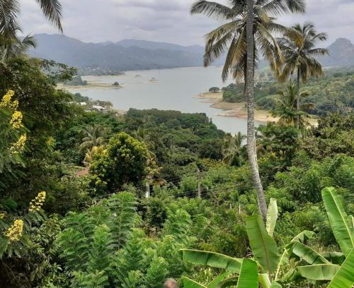 Gankewala Casa | Green Nature Villa kandy