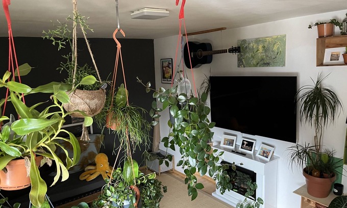 Dreimuhlen Apartamento | Green oasis in the heart of Munich.