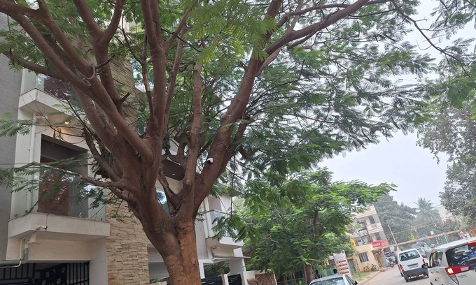Bengaluru Apartamento | Green Valley Suites