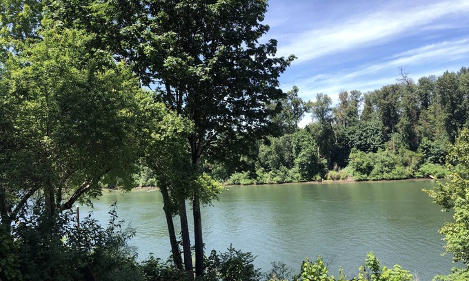 Canby Casa | Belleza frente al río, Águilas calvas, Naturaleza, Senderismo, ciclismo, esquí acuático, piscina de sal