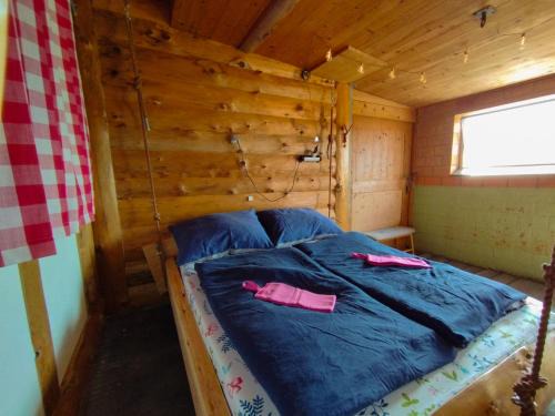 Fahrni Casa | Hängebett im Stall