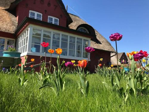 Suddorf Apartamento | Hüs Sanskiin Ferienwohnung *Driiwholt*