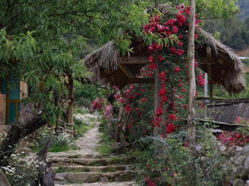 Ma Cha Cabina | H'mong Cổ Trấn Sapa Homestay & Restaurant