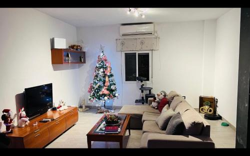 Bami Casa | Habitacion Comoda