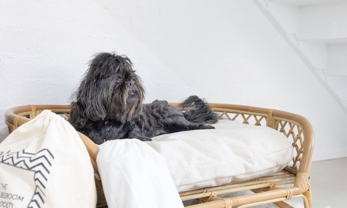 Corlette Casa | Hanks Corlette House, 49 Pantowora St - pet friendly, air con, boat parking, Wi-Fi