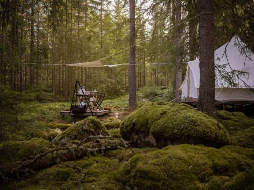 Hagfors Municipality Otro | Happie Camp - Hagfors