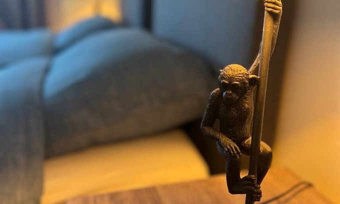 Eeklo Casa | Happy House in Eeklo Centre!