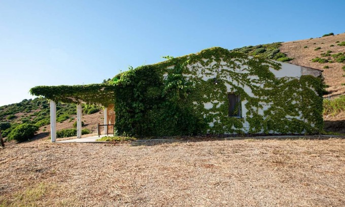 Sorso Casa | Tenuta Asinara Home Vineyard