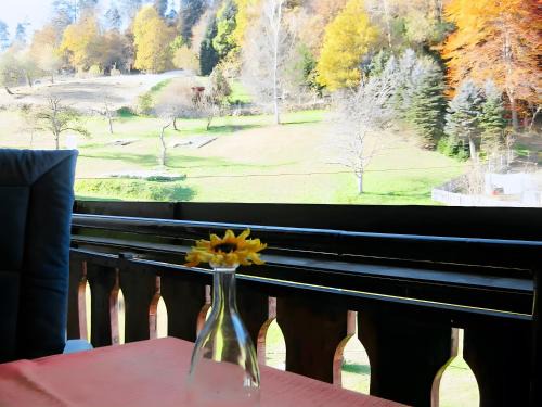 Bad Wildbad Apartamento | Haus Mühlgrund