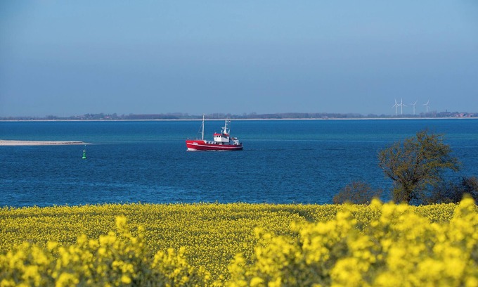 Vogelsang-Grunholz Casa | Haus Rascher - Kamin, Wintergarten, Badewanne, Terrasse, Eingezäunter Garten
