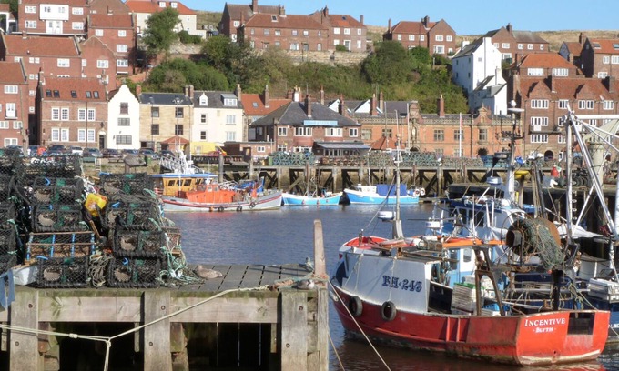 Ruswarp Cabaña | Hawthorn