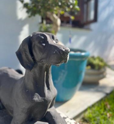 Somerset West Apartamento | Helder Haven Cottage