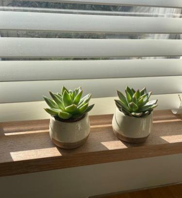 Hedel Casa | 'het Haasje'