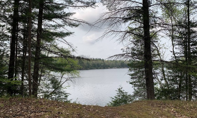 Oscoda Cabina | Hide out cozy Cabin Rental near Cooke Dam pond in Oscoda & budget friendly