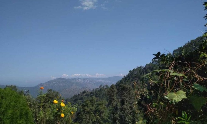 Kaul Casa | Vista del Himalaya, mañana alegre