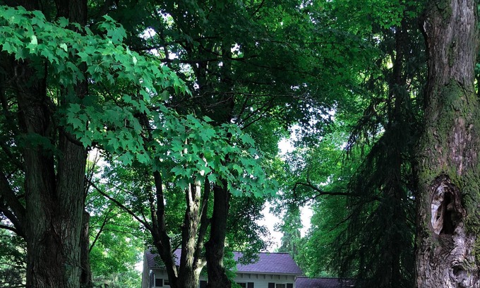 Palmyra Casa | Granja histórica en 100 acres