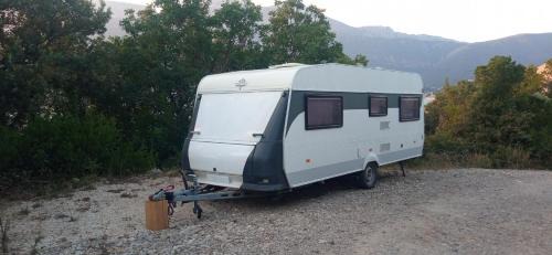 Rose Otro | Hobby camp