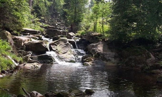 Altenbrak Apartamento | Apartamento de vacaciones Bodefurt - Apartamento 2