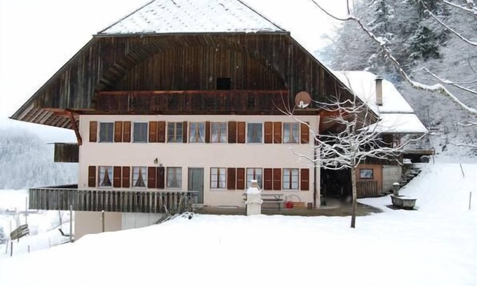 Langnau Im Emmental Apartamento | Apartamento de vacaciones Oberfrittenbach para 1 - 12 personas con 4 dormitorios - Apartamento
