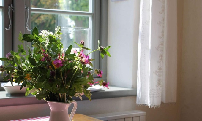 Steffenshagen Apartamento | Apartamento increible en Steffenshagen con jardín
