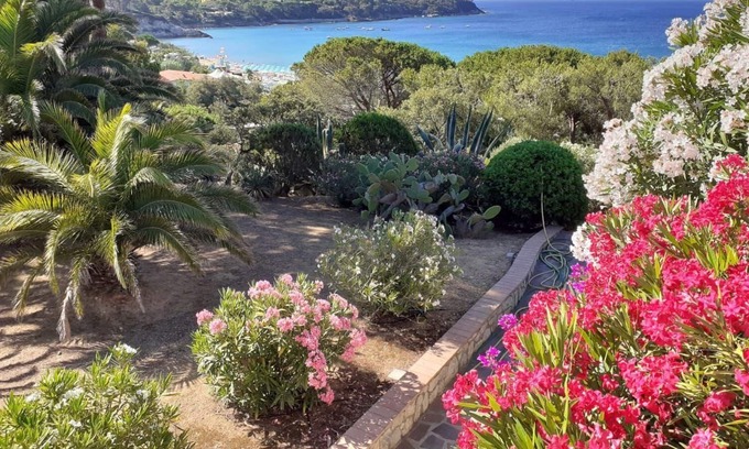 Lido di Capoliveri Apartamento | Apartamento de vacaciones Capoliveri para 1 - 4 personas con 1 dormitorio - Apartamento