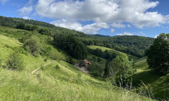 Sainte-Marie-aux-Mines Otro | Holiday House Prairie D Hergauchamps /Sauna/Whirlpool on 20ha private property