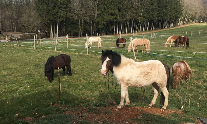 Givonne Casa | Casa de vacaciones 'Gîte Le Clos Du Bannet' con Wi-Fi