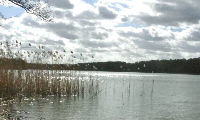 Oberhavel Apartamento | Casa de vacaciones de un dormitorio