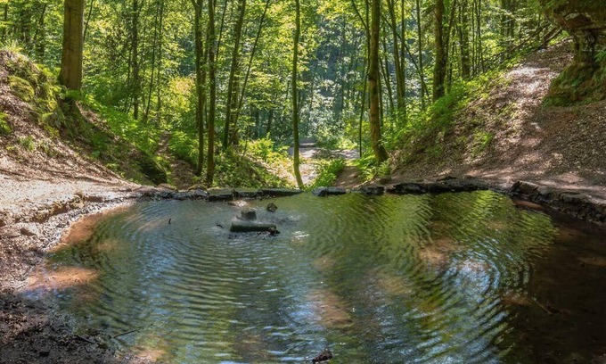 Rodalben Casa | Casa de vacaciones Rodalben para 1 - 5 personas con 4 dormitorios - Casa pareada