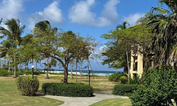 La Grande Princesse Condominio | HOLIDAY SPECIAL! Island Oasis-Luxury condo at Pelican Cove