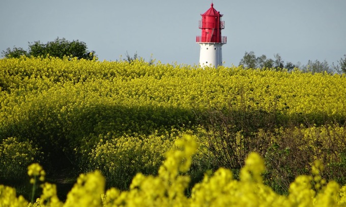 Pommerby Apartamento | Vacaciones en el mar Báltico bajo techo de paja con mucha comodidad; WLAN gratis, 2 Smart TV, ....