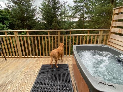 Cupar Apartamento | Holly Berry Lodge with Hot Tub