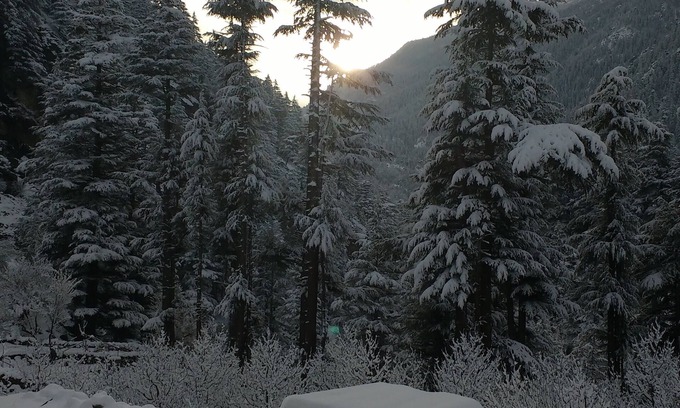 Sangla Casa | Hogar lejos del hogar. (Bhandari Homestay) Sé parte de nuestra cultura Kinnauri.