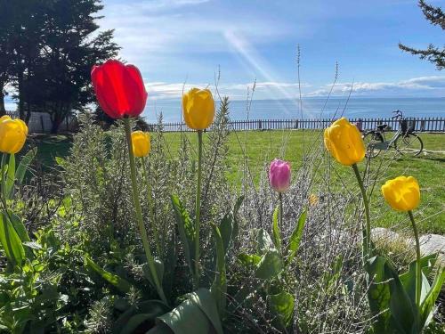 Oak Harbor Apartamento | Home Away From Home