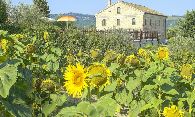 Montecarotto Villa | Homerez - Grande villa para 20 pers. con piscina en Montecarotto