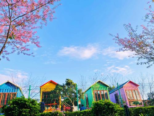 Moc Chau Apartamento | Homestay Gió Mộc