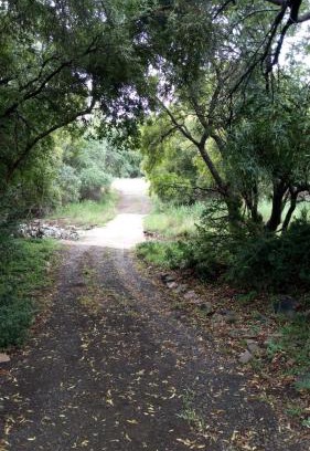 Derby Otro | Honey Nest Camp