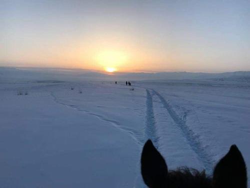 Naryn Region Casa | Horse riding&Kyzart Homestay